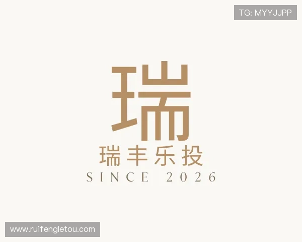 发现瑞丰乐投